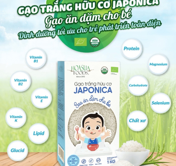 Gạo Trắng Hữu Cơ Japonica Gạo Ăn Dặm Cho Bé